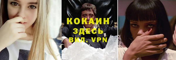 винт Гусев