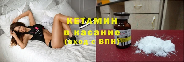 шишки Горно-Алтайск