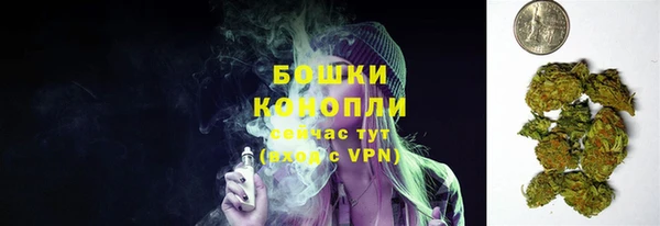 прущая мука Тында