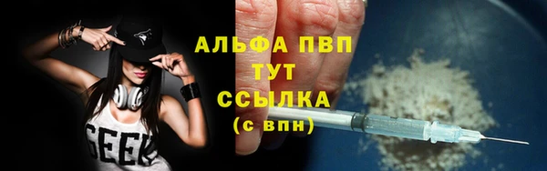 шишки Горно-Алтайск