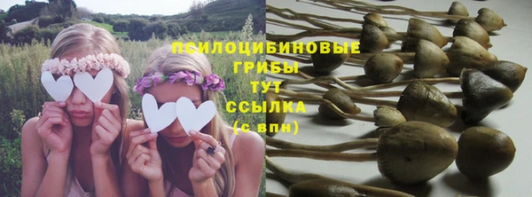 мдма Гусиноозёрск