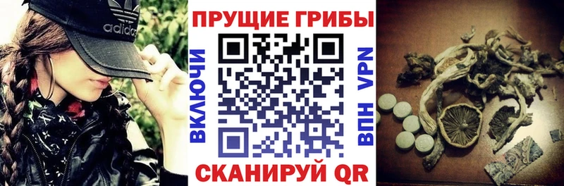 Галлюциногенные грибы MAGIC MUSHROOMS Купить закладки Валдай